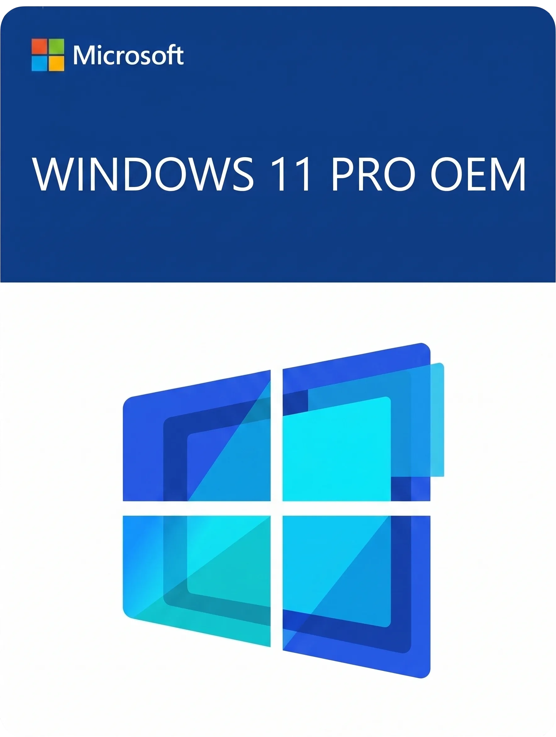 Windows 11 PRO OEM
